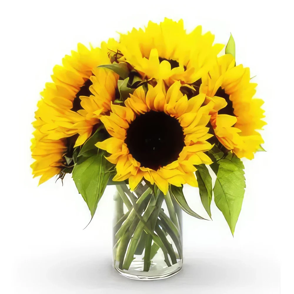 Boyeros (på ett år) blommor- Sunny Delight Bukett/blomsterarrangemang