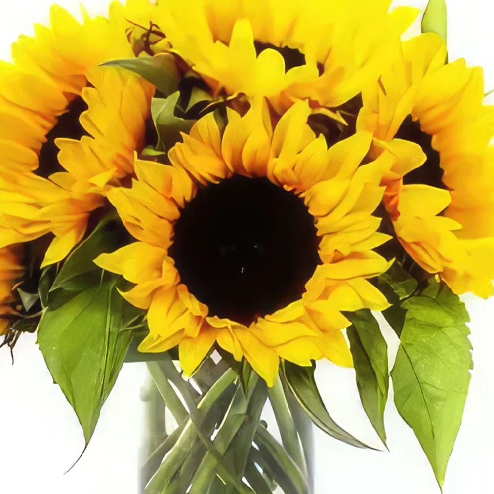 Boyeros (Boyeros) kwiaty- Sunny Delight Bukiet ikiebana