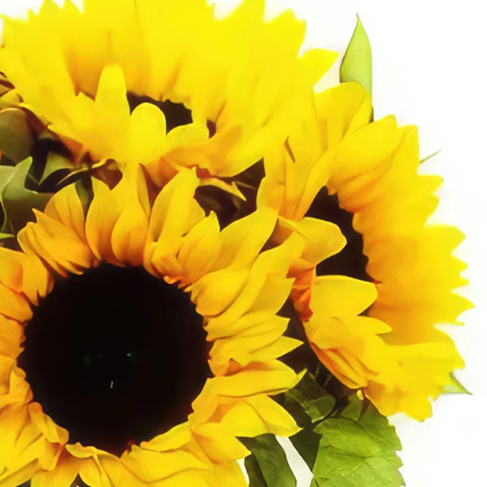 Genoa blomster- Sunny Delight Blomsterarrangementer bukett