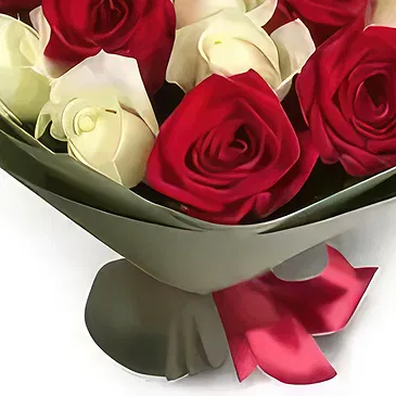 Budapest flowers  -  BOUQUET OF BURGUNDY AND WHITE ROSES Flower Bouquet/Arrangement