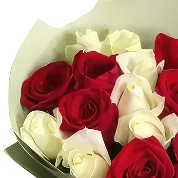 Budapest flowers  -  BOUQUET OF BURGUNDY AND WHITE ROSES Flower Bouquet/Arrangement