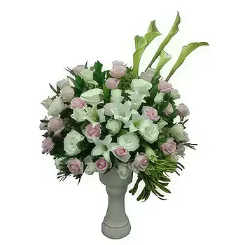 Paranginan flowers  -  White & Pink Bush Chrismas Flower Delivery