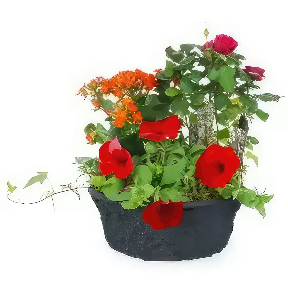 Bagus bunga- Calidi Red, Orange Plant Cup Rangkaian bunga karangan bunga