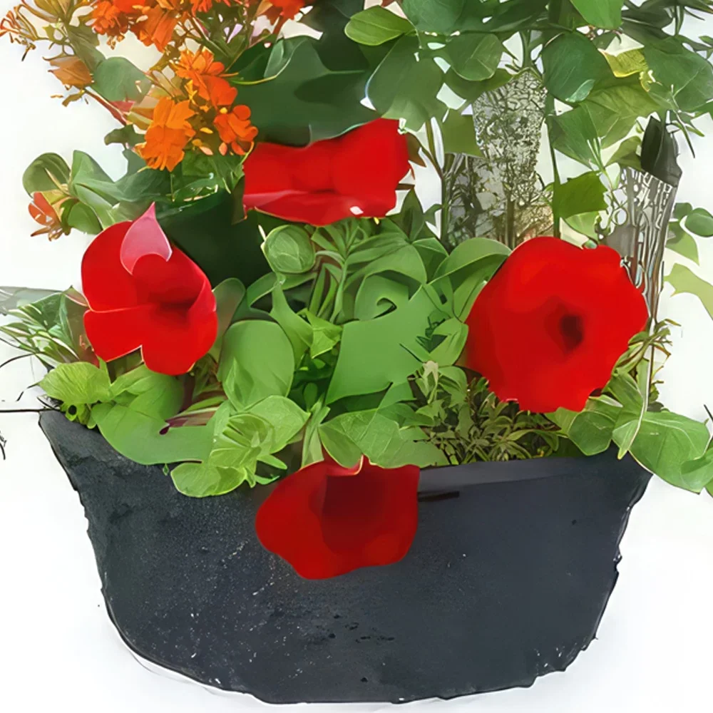 Lyon-virágok- Calidi Red, Orange Plant Cup Virágkötészeti csokor