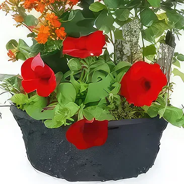 Dumbéa (Dumbéa) blomster- Calidi rød, orange plantebæger Blomst buket/Arrangement