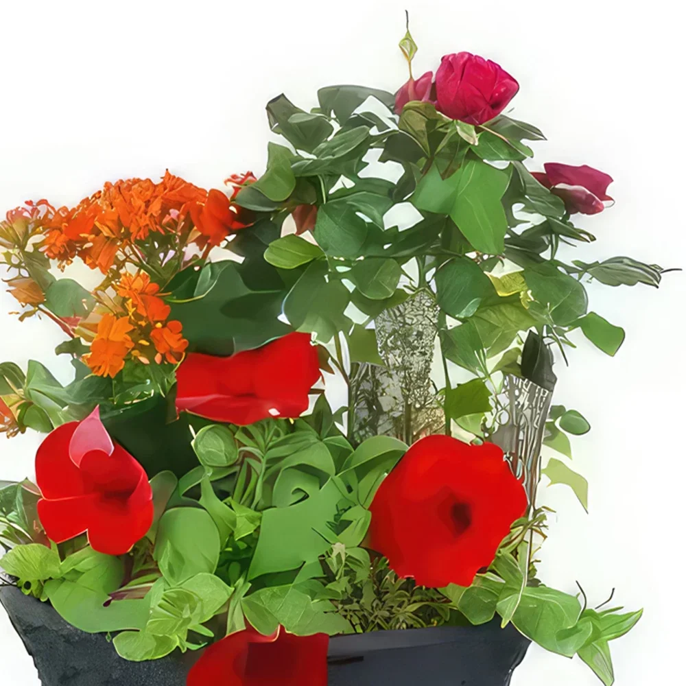 fleuriste fleurs de Paris- Coupe de plantes rouges, orange Calidi Bouquet/Arrangement floral