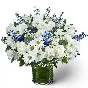 United Arab Emirates flowers  -  Calm Beauty Flower Delivery