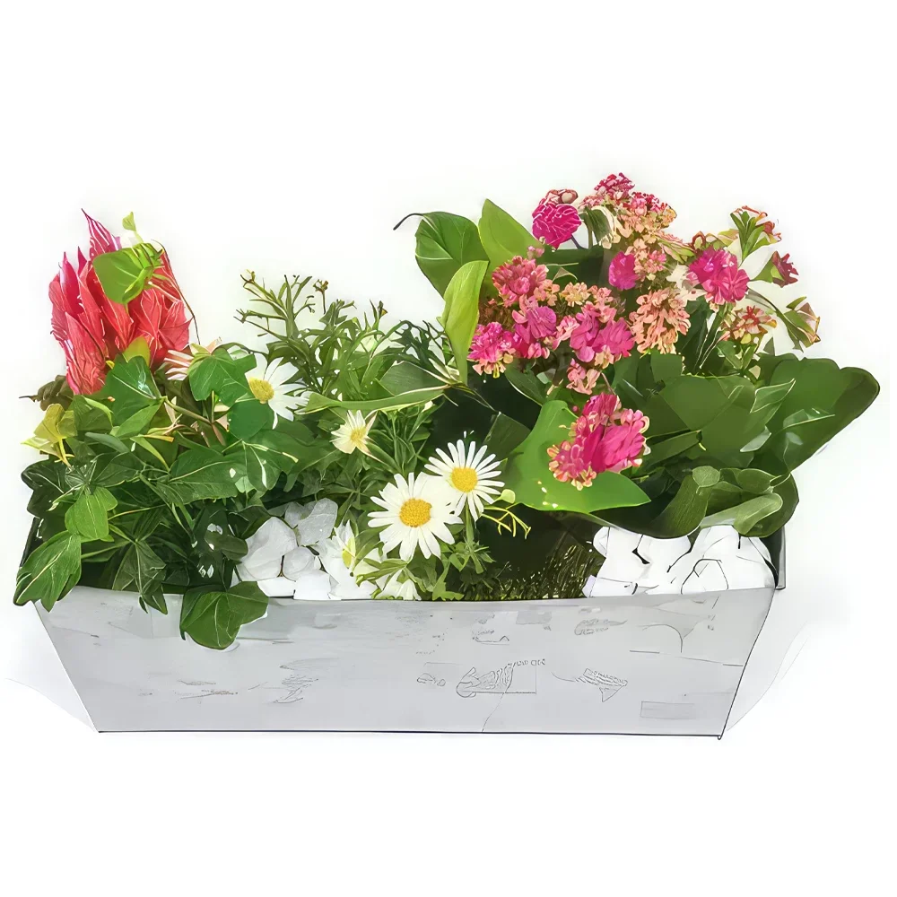 flores de Marselha- Plantador Calypso rosa e branco Bouquet/arranjo de flor