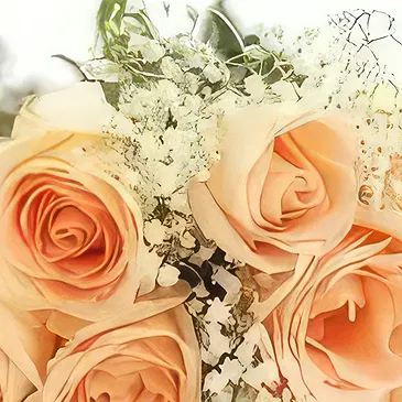 Cabo Balanco blommor- Persika Romantik Bukett/blomsterarrangemang