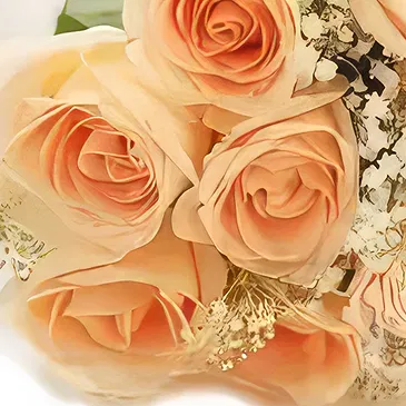 Cabo Balanco blommor- Persika Romantik Bukett/blomsterarrangemang
