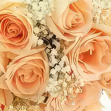 Cabo Balanco blommor- Persika Romantik Bukett/blomsterarrangemang