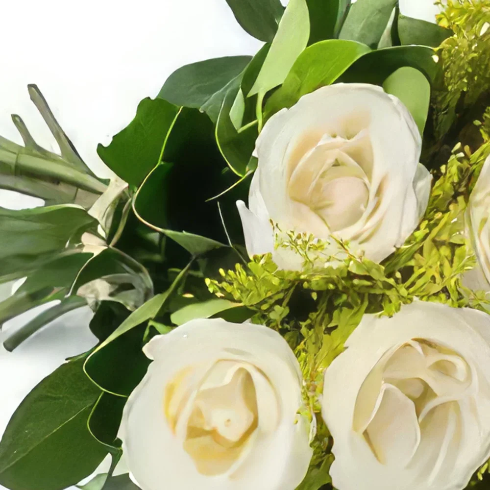 Belém kvety- Kytica 12 bielych ruží Aranžovanie kytice