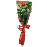 Javea online Florist - Expresses  Bouquet