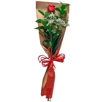Madrid flowers  -  Expresses  Flower Delivery