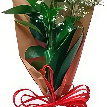 Ibiza flowers  -  Expresses  Flower Bouquet/Arrangement