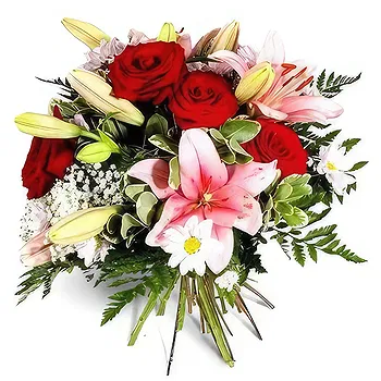 flores de Zaragoza- emoções Flor Entrega
