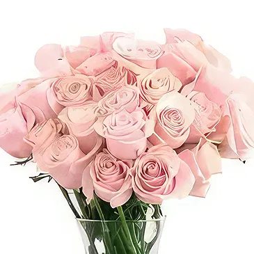 Garhoud flowers  -  Baby Choice Flower Bouquet/Arrangement