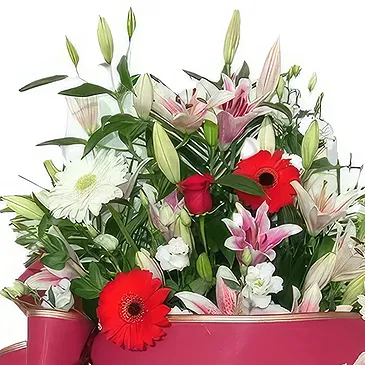 Benidorm blommor- Gentle Embrace-begravningar Bukett/blomsterarrangemang