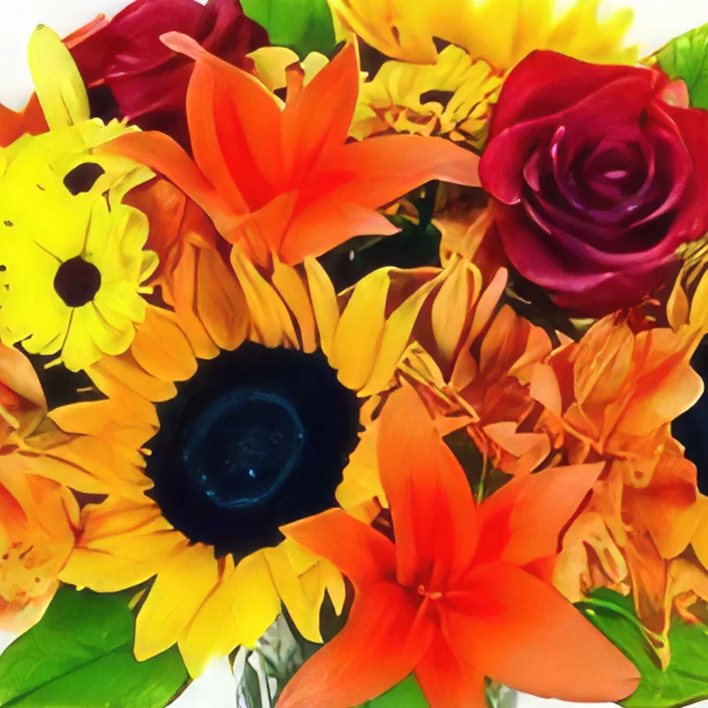 10 הונדה מקור פרחים- קרנבל זר פרחים/סידור פרחים