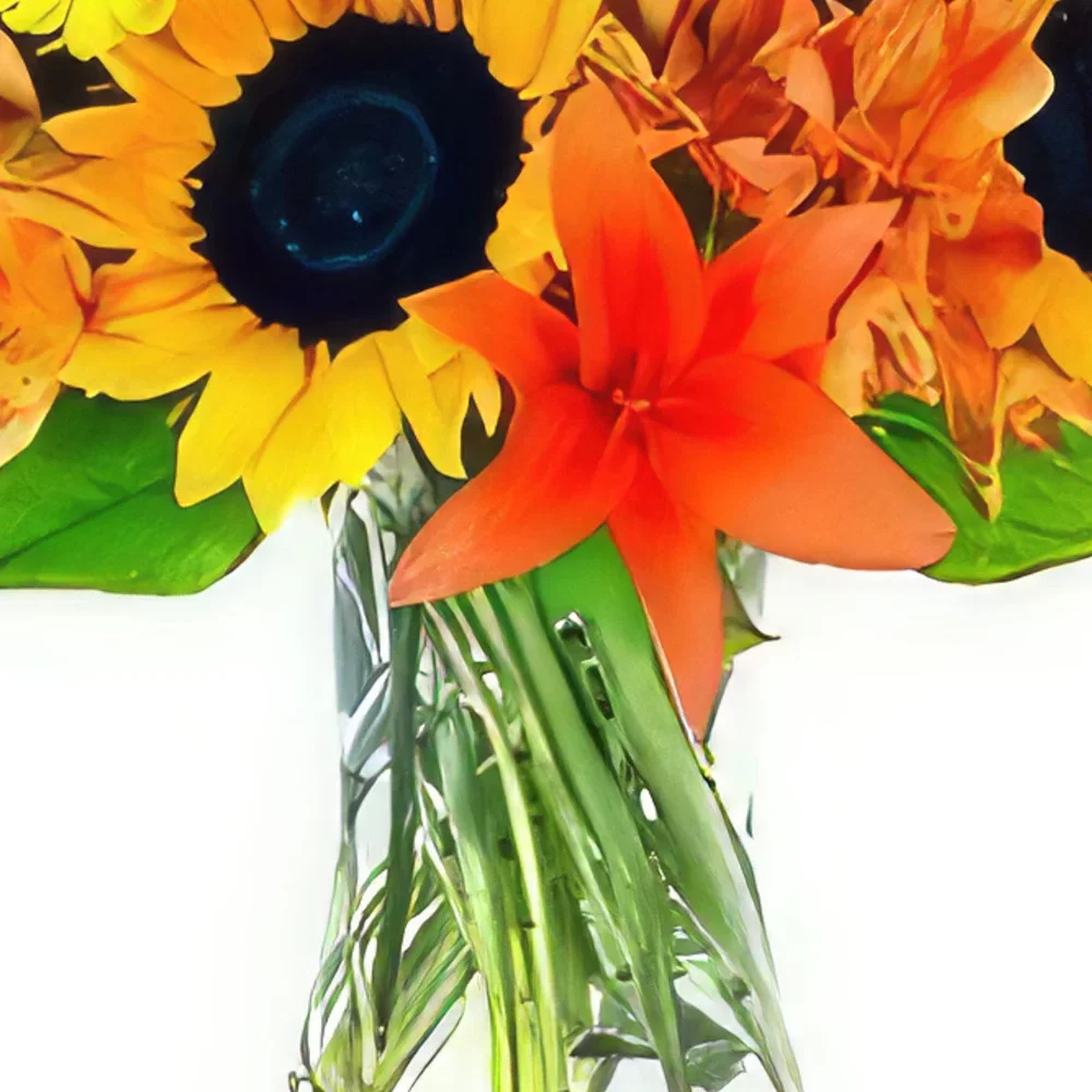 Μπαΐα και Βίλα Παναμερικάνα λουλούδια- Καρναβάλι Μπουκέτο/ρύθμιση λουλουδιών