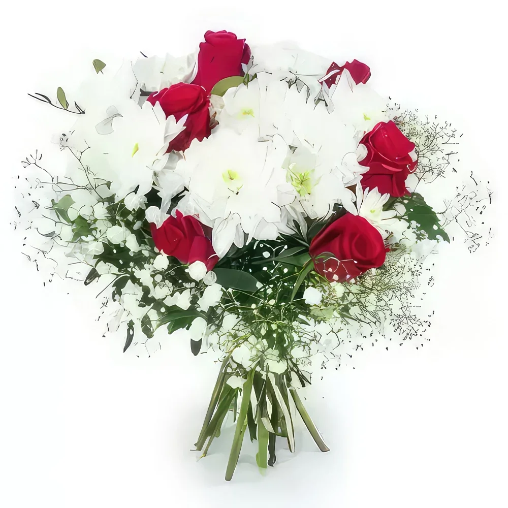 بائع زهور مونبلييه- باقة قرطاجنة البيضاء والفوشية المستديرة باقة الزهور