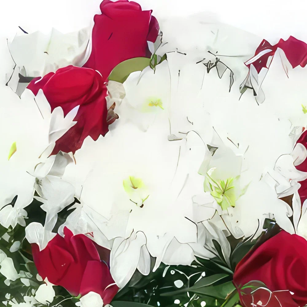 بائع زهور مونبلييه- باقة قرطاجنة البيضاء والفوشية المستديرة باقة الزهور