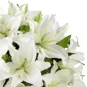 El Machucado flowers  -  Memories Flower Bouquet/Arrangement