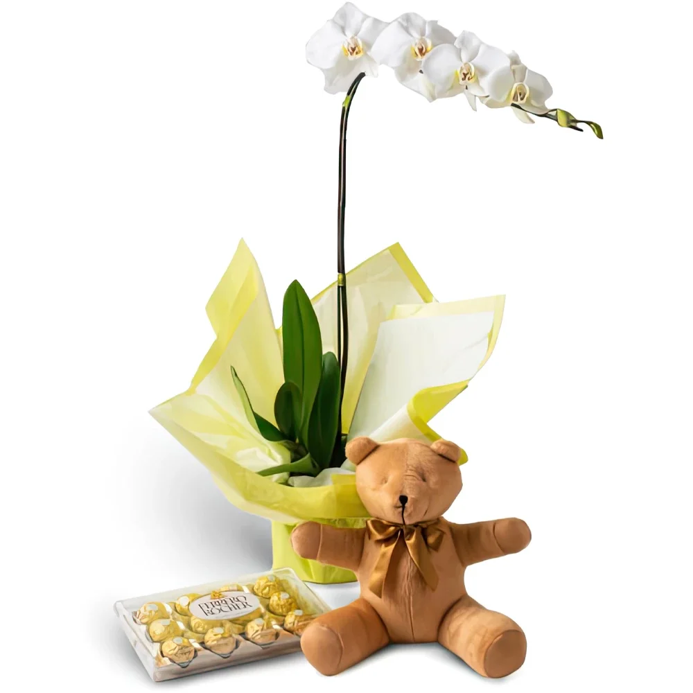 fiorista fiori di San Paolo- Orchidea phalaenopsis per regalo, cioccolatin Bouquet floreale
