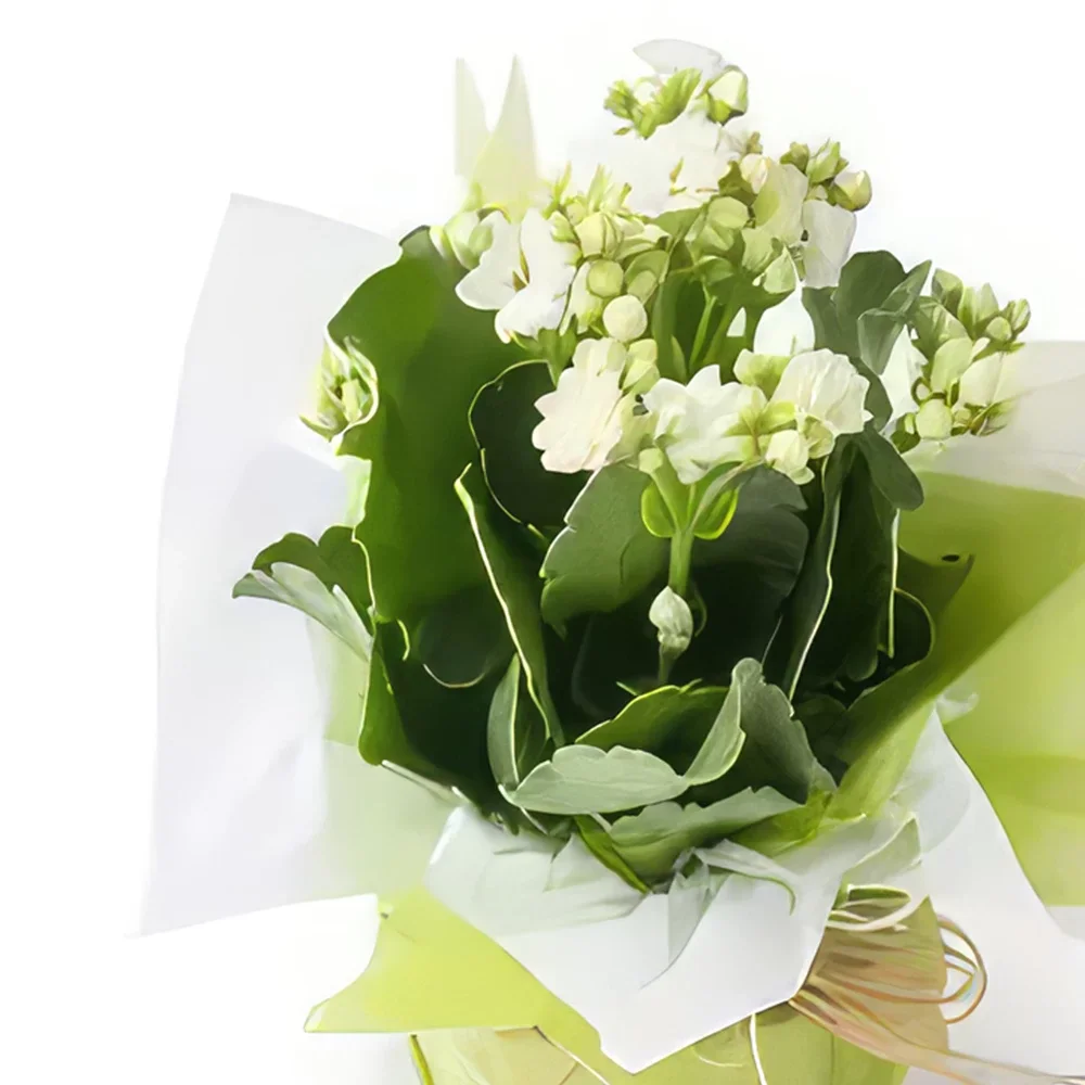 Belém kvety- Biela Fortune Kvet na darčeky Aranžovanie kytice
