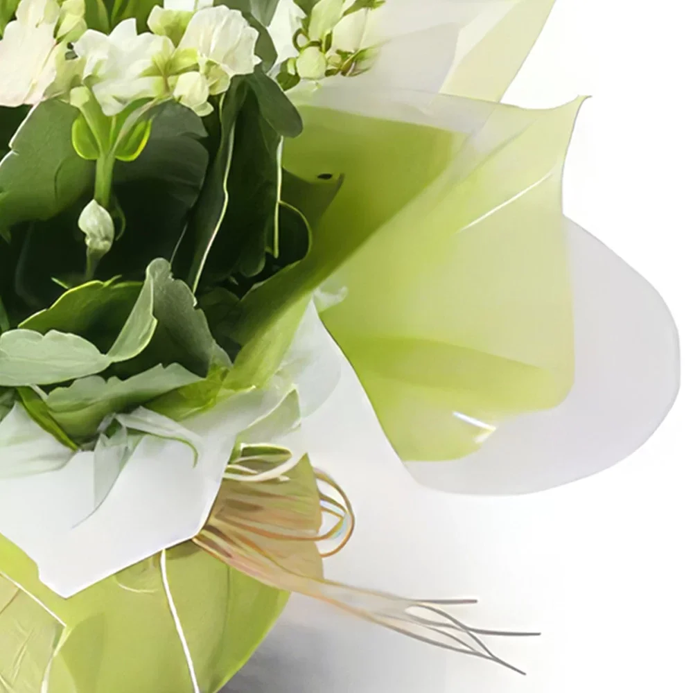 Belém kvety- Biela Fortune Kvet na darčeky Aranžovanie kytice
