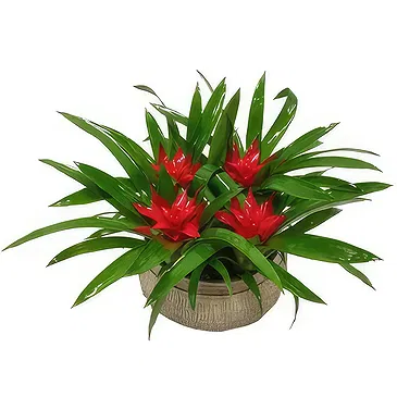 Cala Llonga flowers  -  Garden Tapestry Flower Bouquet/Arrangement