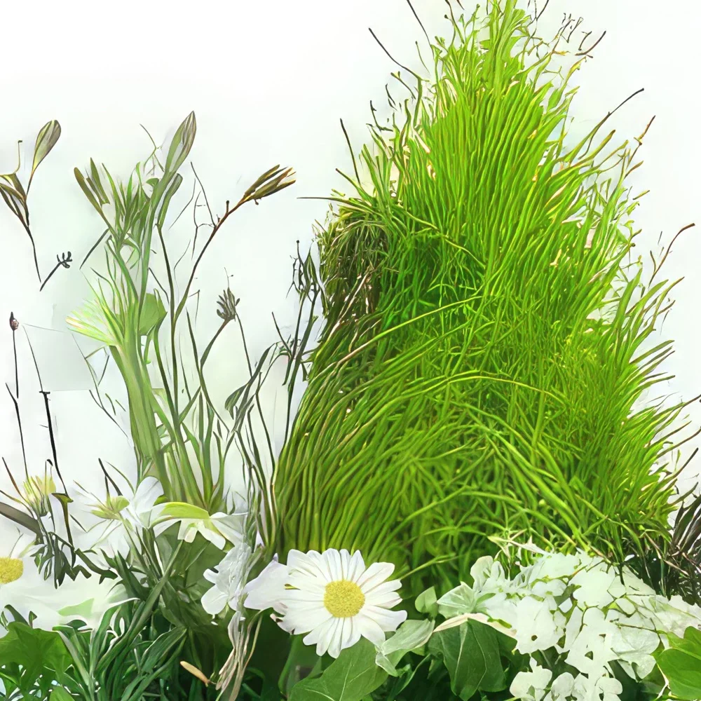Marseille Blumen Florist- Zusammensetzung der weißen Pflanze der Kamill Bouquet/Blumenschmuck