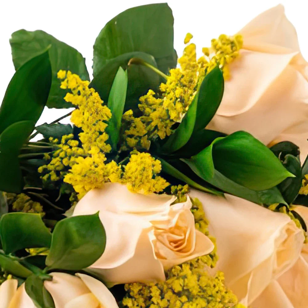 Recife květiny- Kytice z 8 Champagne a Teddybear Roses Kytice/aranžování květin