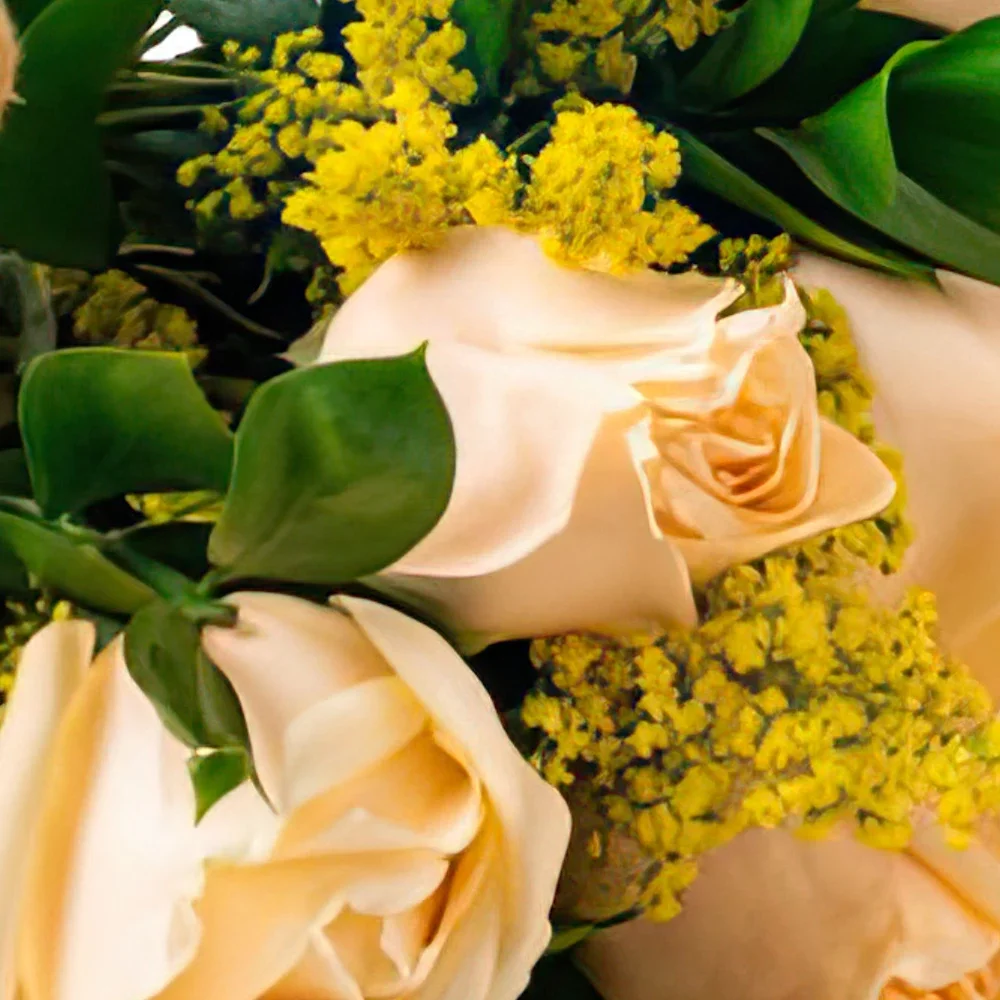 بائع زهور ساو باولو- باقة من 8 شمبانيا وورود تيديبير باقة الزهور