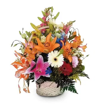 Madrid flowers  -  Cheerful Spectrum Collection Flower Delivery