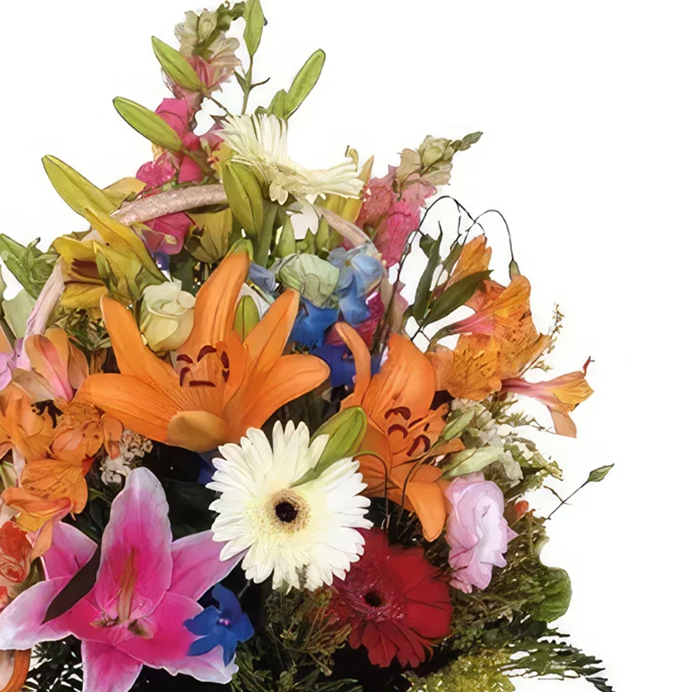ดอกไม้ บายาโดลิด - คอลเลกชันสเปกตรัมร่าเริง ช่อดอกไม้/การจัดวางดอกไม้