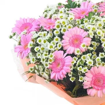 Italy flowers  -  Bouquet of pink Gerberas and white Daisies Flower Bouquet/Arrangement