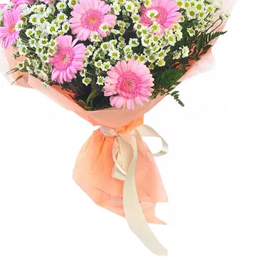 Italy flowers  -  Bouquet of pink Gerberas and white Daisies Flower Bouquet/Arrangement