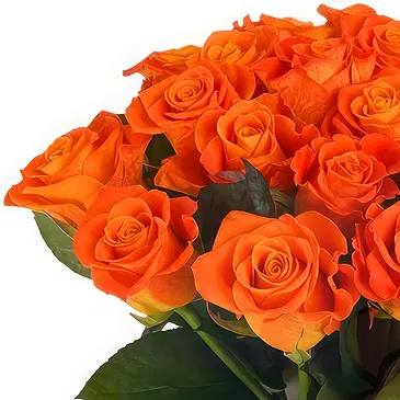 Oman flowers  -  Orange roses bunch Flower Bouquet/Arrangement