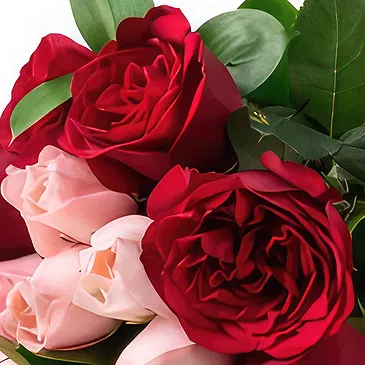 Santa Maria flowers  -  Bouquet of 15 Two-Color Roses and Chocolates Flower Bouquet/Arrangement