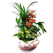 Spanien Online Blumenhändler - Immer grün Blumenstrauß