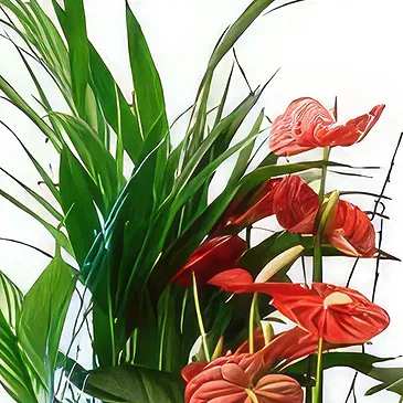 Cala Llonga flowers  -  Ever Green Flower Bouquet/Arrangement