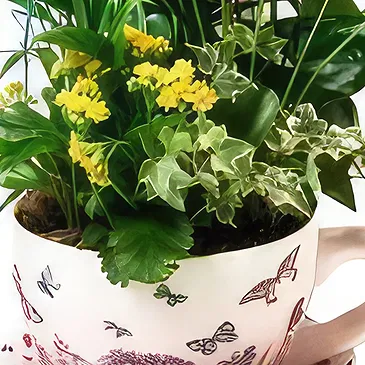 Cala Llonga flowers  -  Ever Green Flower Bouquet/Arrangement