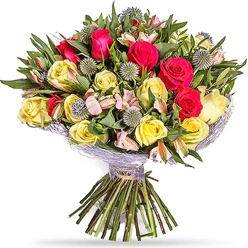 Holland flowers  -  Radiant Roses Flower Delivery