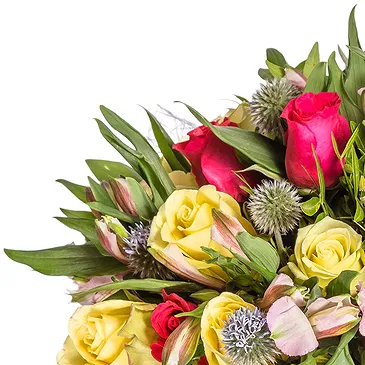 Oman flowers  -  Radiant Roses Flower Bouquet/Arrangement