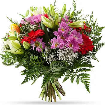 Holland flowers  -  Good Day Flower Delivery
