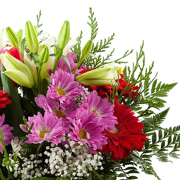 Oman flowers  -  Good Day Flower Bouquet/Arrangement