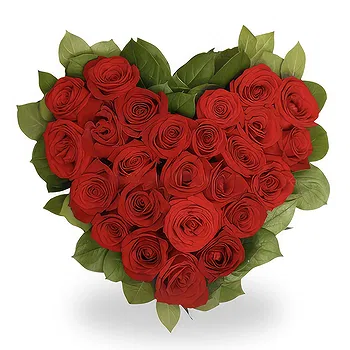 Antias flowers  -  All Red Flower Delivery