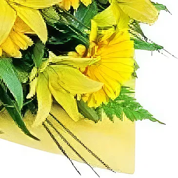 Greece flowers  -  Morning Glory Flower Bouquet/Arrangement