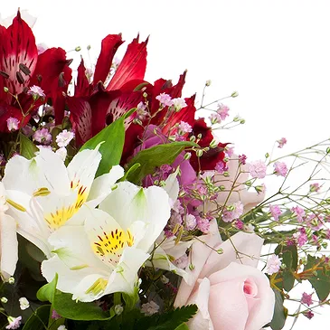 Oman flowers  -  First Choice Flower Bouquet/Arrangement